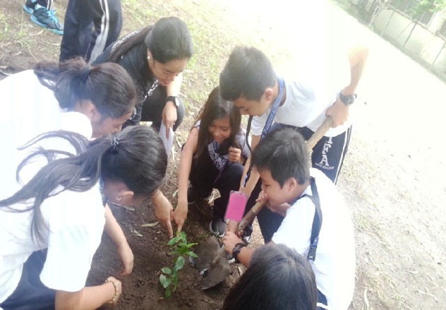 treeplanting1